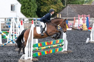 Class 6 - Fences not above 2'9